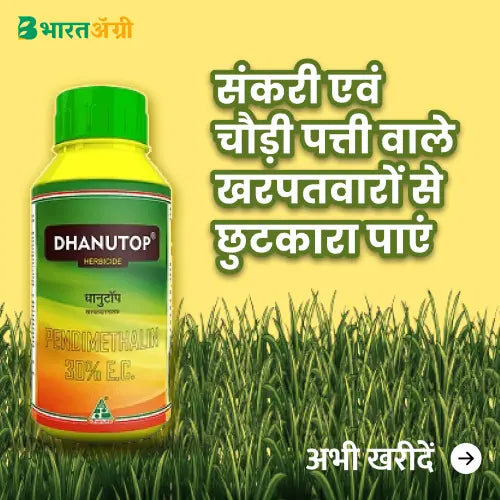 Dhanuka Dhanutop Herbicide (Pendimethalin 30% EC) | धानुका धानुटोप
