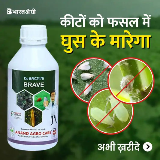 Bacto's Brave Bio Pesticides