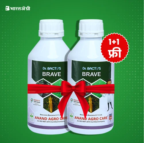 Dr. Bacto's Brave (Beauveria Bassiana) Bio Insecticide (1+1 Free)