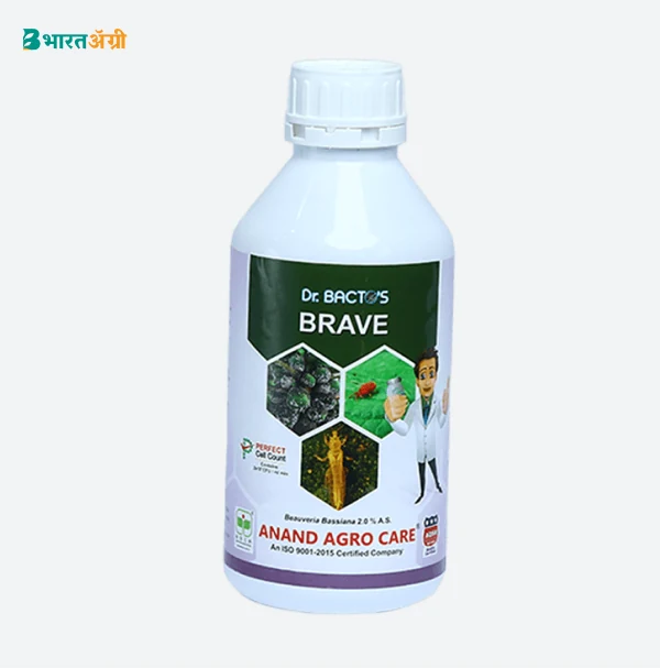 Dr. Bacto's Brave (Beauveria Bassiana) Bio Insecticide (1+1 Free)