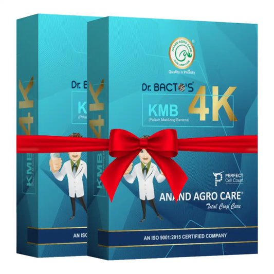 Dr.Bacto’s K.M.B. 4K Potash Mobilizing Bacteria (1+1 Combo)