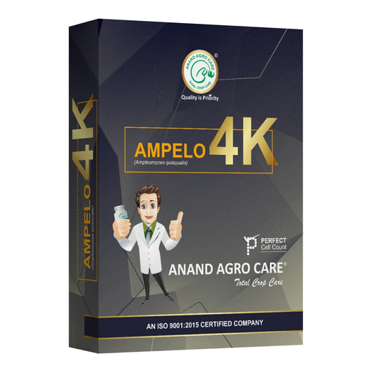 Dr. Bacto's Ampelo 4K