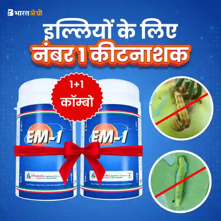 Dhanuka E.M. 1 ( Emamectin Benzoate 5% SG ) Insecticide (1+1 Combo)