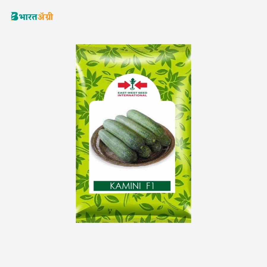 East West Kamini 017 F1 Hybrid Cucumber Seeds