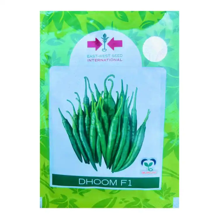 East West F1 Dhoom Chilli Seeds