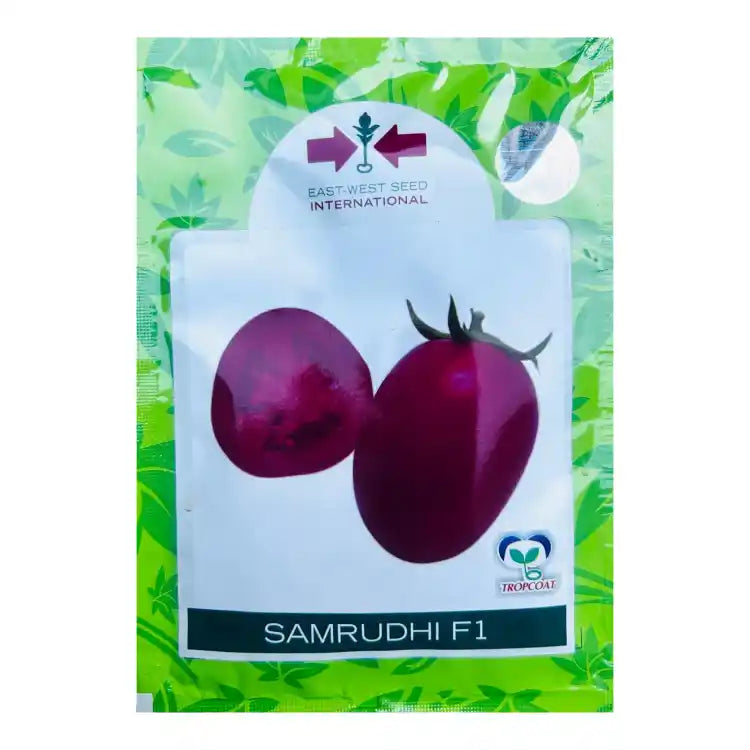 East West F1 Samrudhi Tomato Seeds