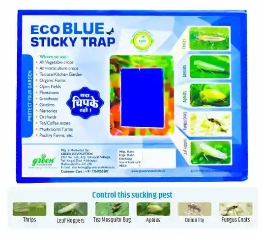 Green Revolution Eco Blue and yellow Sticky Trap (A5)