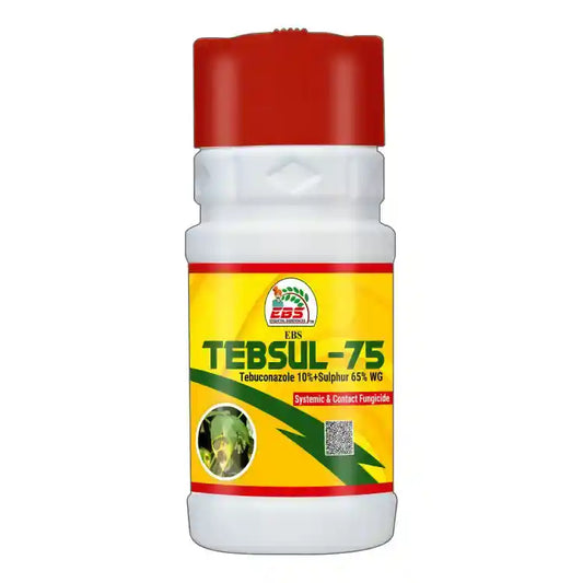 EBS Tebsul-75 (Tebuconazole 10% + Sulphur 65% WG) Fungicide