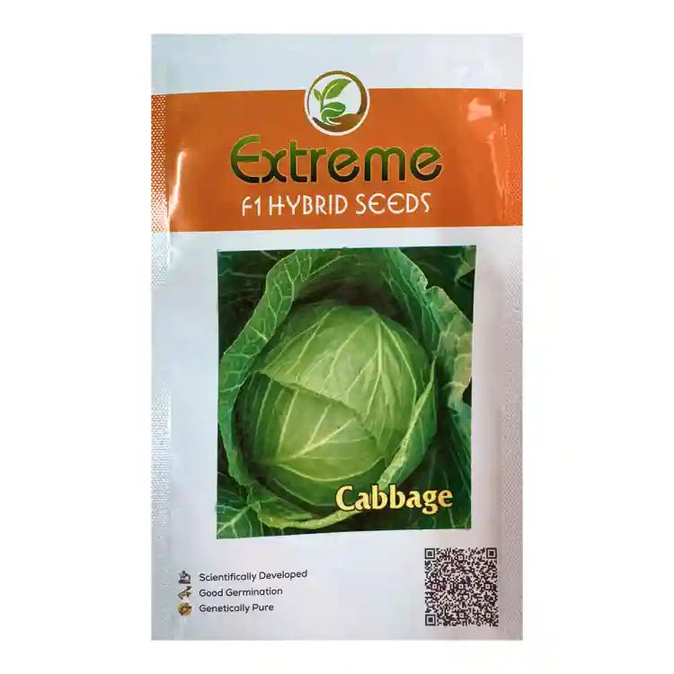 Extreme_F1_Hybrid_Seeds_Cabbage