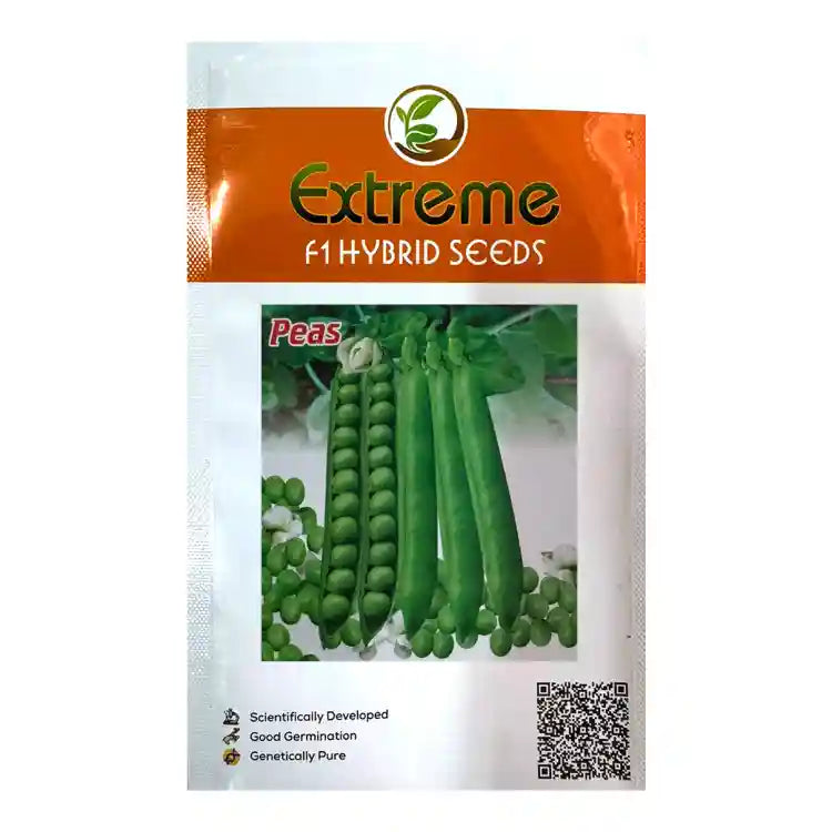 Extreme F1 Hybrid Pencil Peas Seeds