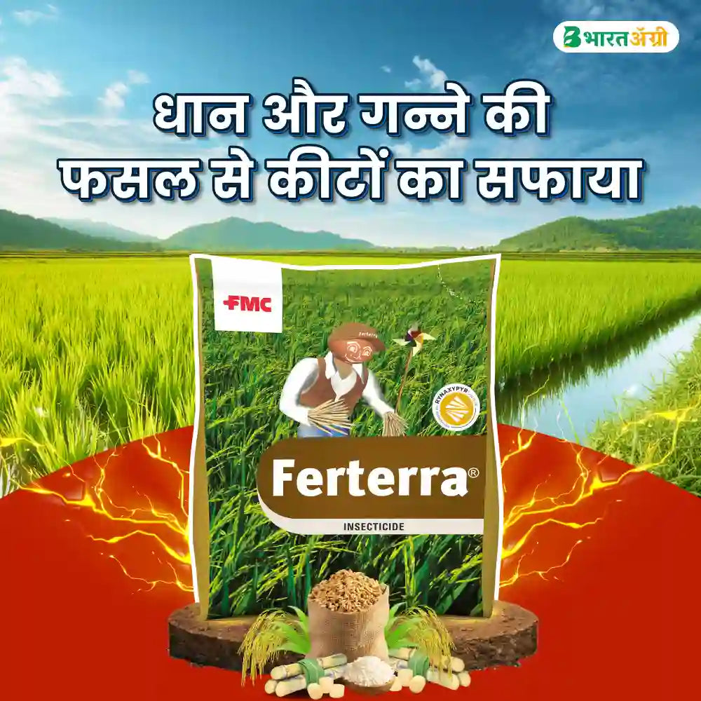 FMC Ferterra (Chlorantraniliprole 0.4% GR ) Insecticide