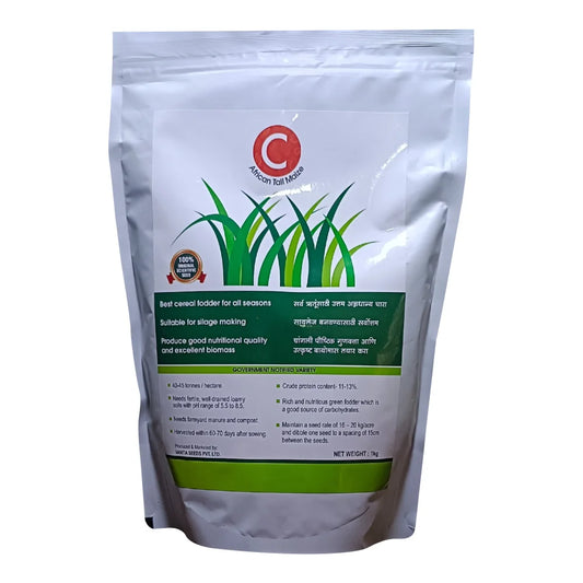 Farmguru C African Tall Maize Seeds