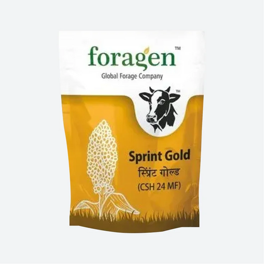 Foragen Sprint Gold Hybrid Jowar Seeds