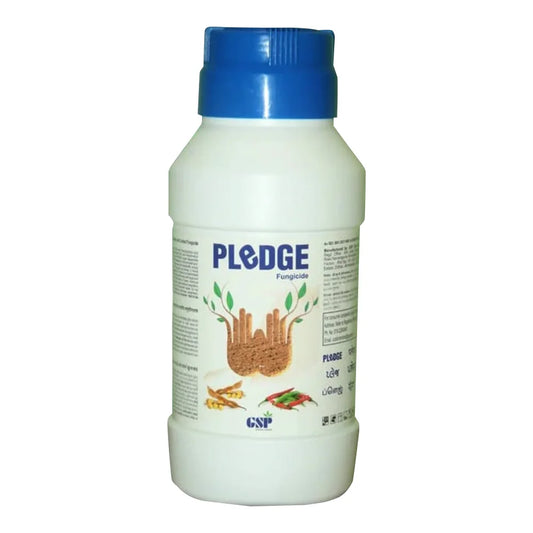 GSP Pledge (Tebuconazole 10% + Sulfur 65% WDG) Fungicide