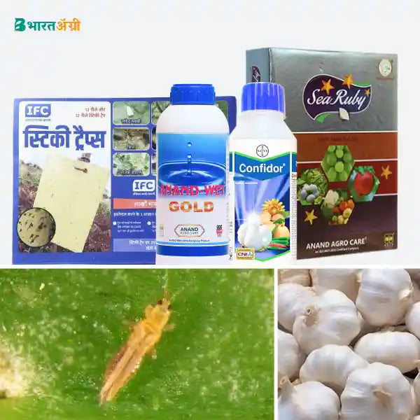 Garlic Suraksha Kit - Sucking Pest - BharatAgri Krushidukan_1