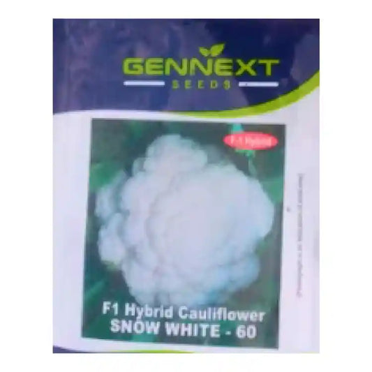 Gennext Hybrid Snow White-60 Cauliflower Seeds