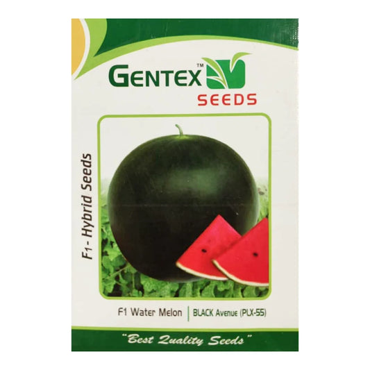 Gentex Black Avenue PLX 55 F1 Hybrid Watermelon Seeds