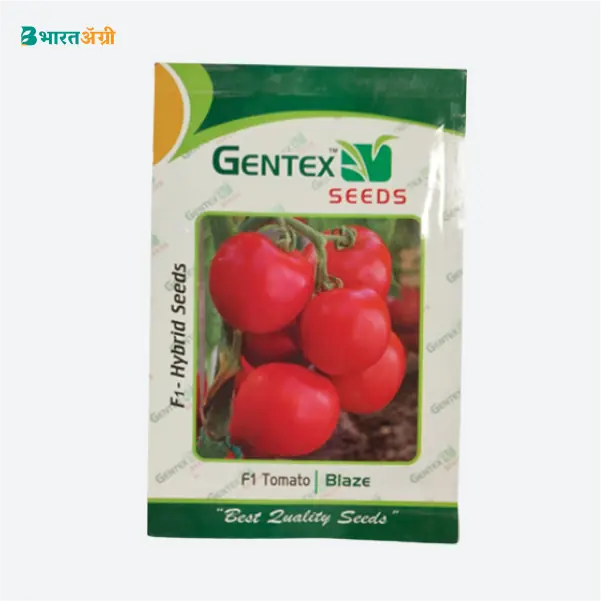 Gentex Blaze LQ-116 Hybrid Tomato Seeds_1_BharatAgri Krushidukan