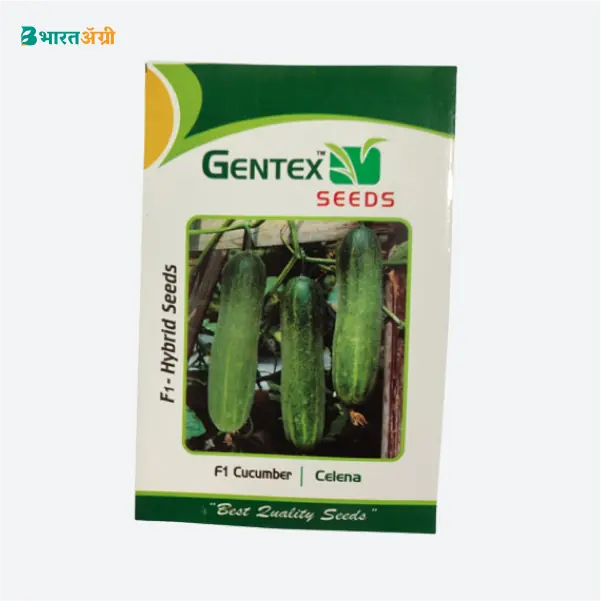 Gentex Celena Cucumber Seeds_1_BharatAgri Krushidukan