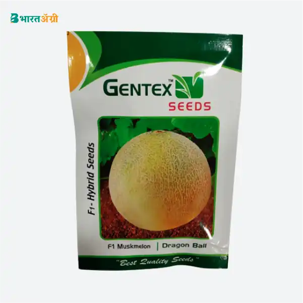 Gentex Dragon Ball Hybrid Muskmelon Seeds_1_BharatAgri Krushidukan