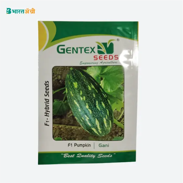 Gentex Gani Pumpkin Hybrid Seeds - BharatAgri Krushidukan_1