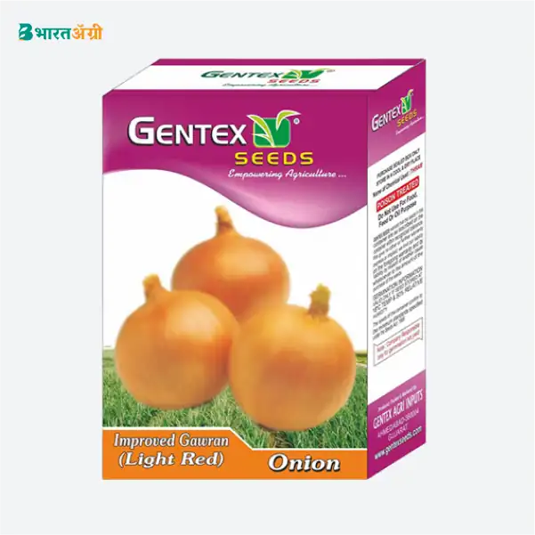 Gentex Improved Gawran (Light Red) Onion Seeds - Krushidukan_1