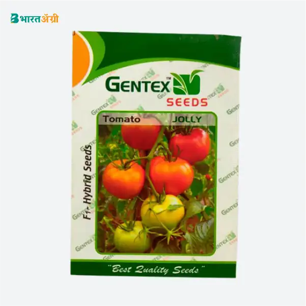 Gentex Jolly Hybrid Tomato Seeds - BharatAgri Krushidukan_1
