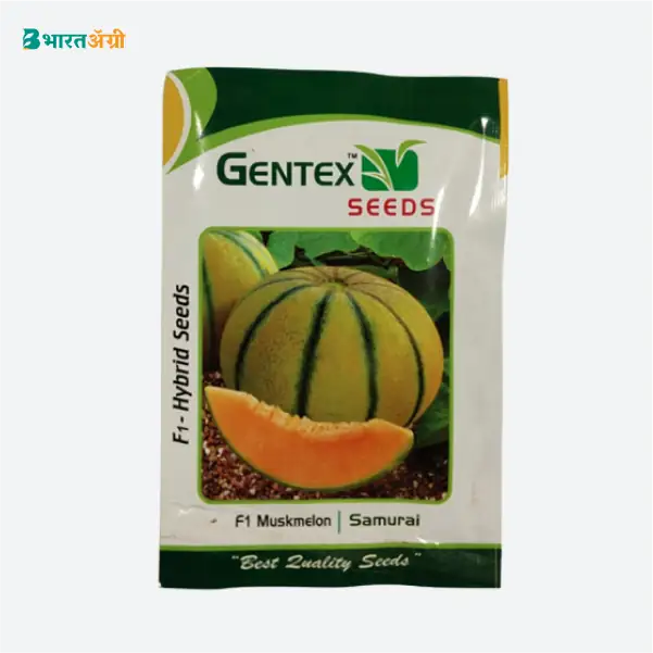 Gentex Samurai Hybrid Muskmelon Seeds_1_BharatAgri Krushidukan