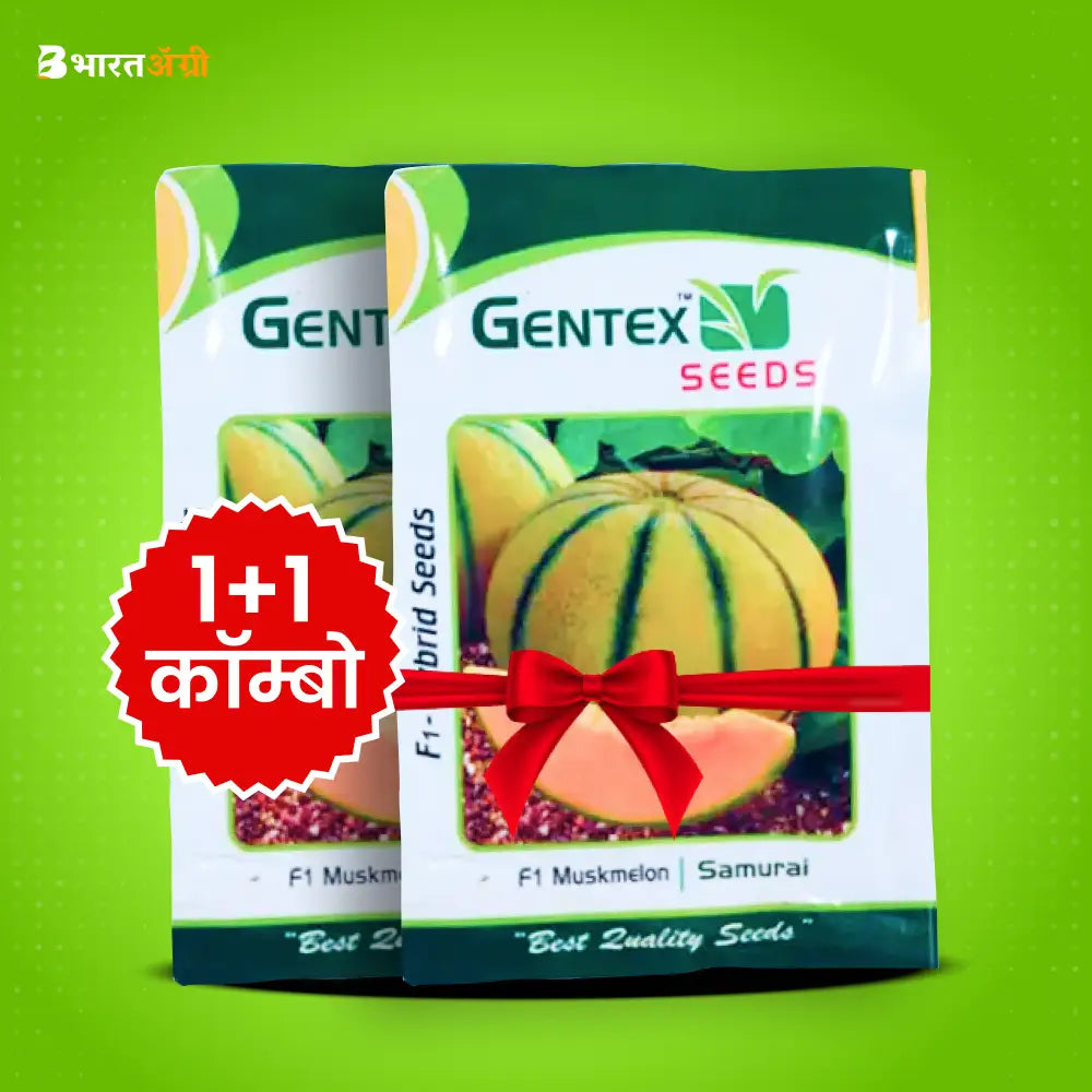 जेंटेक्स समुराई हाइब्रिड खरबूजा बीज (1+1 कॉम्बो) | Gentex Samurai Hybrid Muskmelon Seeds (1+1 Combo)