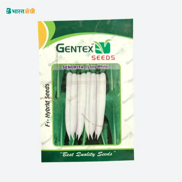 Gentex Senorita Hybrid Radish Seeds - BharatAgri Krushidukan_1