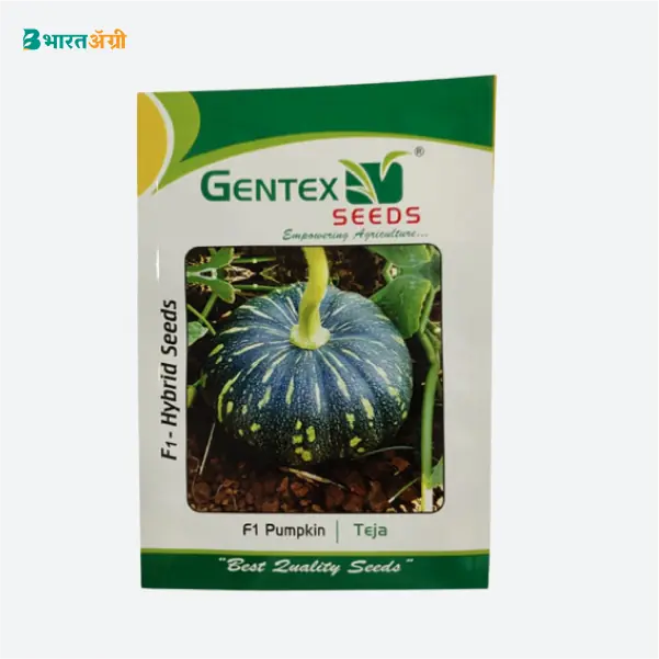 Gentex Teja Pumpkin Hybrid Seeds - BharatAgri Krushidukan_1