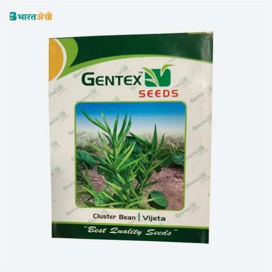 Gentex Vijeta Cluster Bean Seeds_1_BharatAgri Krushidukan