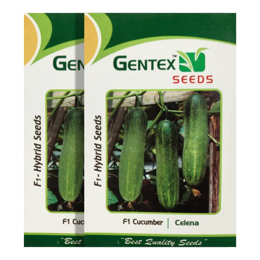 Gentex Celena Cucumber Seeds (1+1 Free)