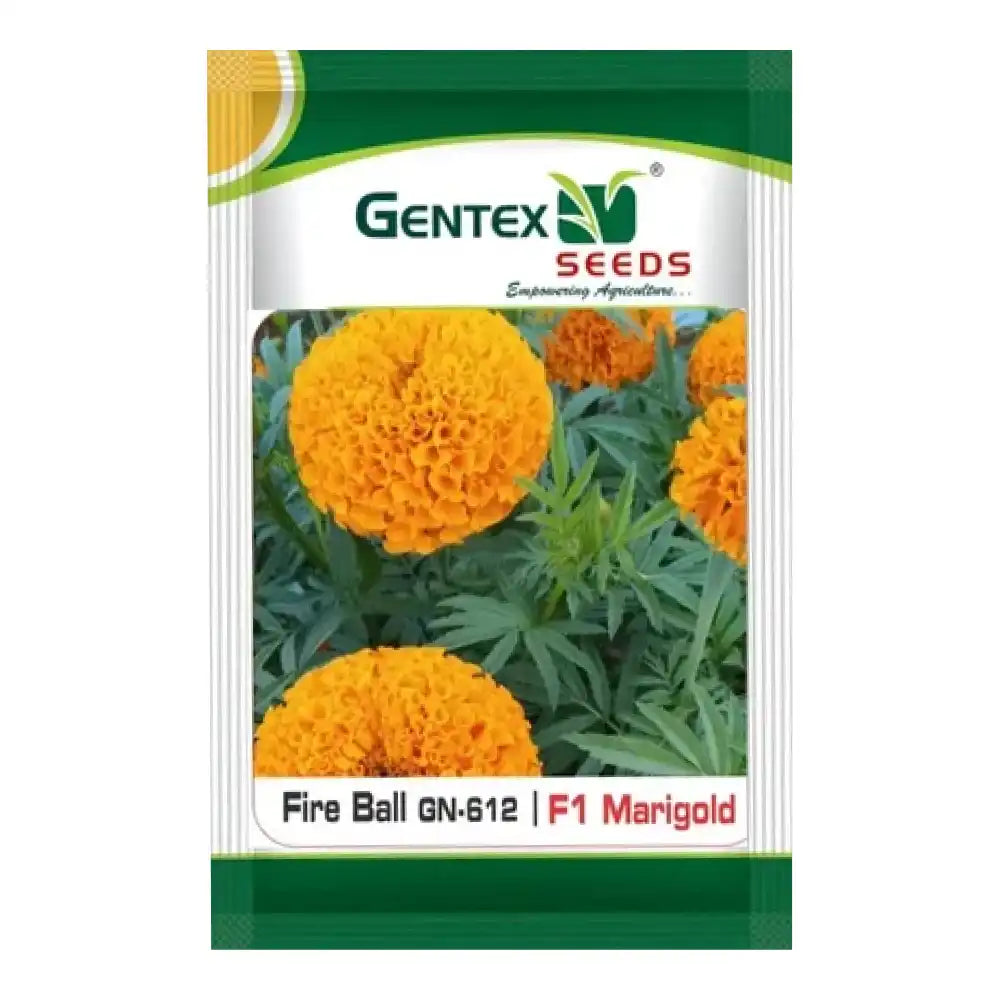 Gentex Fireball F1 Hybrid Marigold (Orange) Seeds