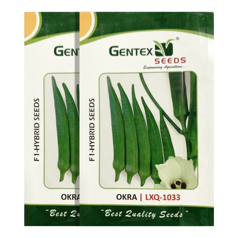 Gentex LXQ-1033 Hybrid Okra Seeds (1+1 Free)