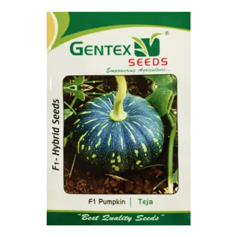 जेंटेक्स तेजा कद्दू हाइब्रिड बीज | Gentex Teja Pumpkin Hybrid Seeds