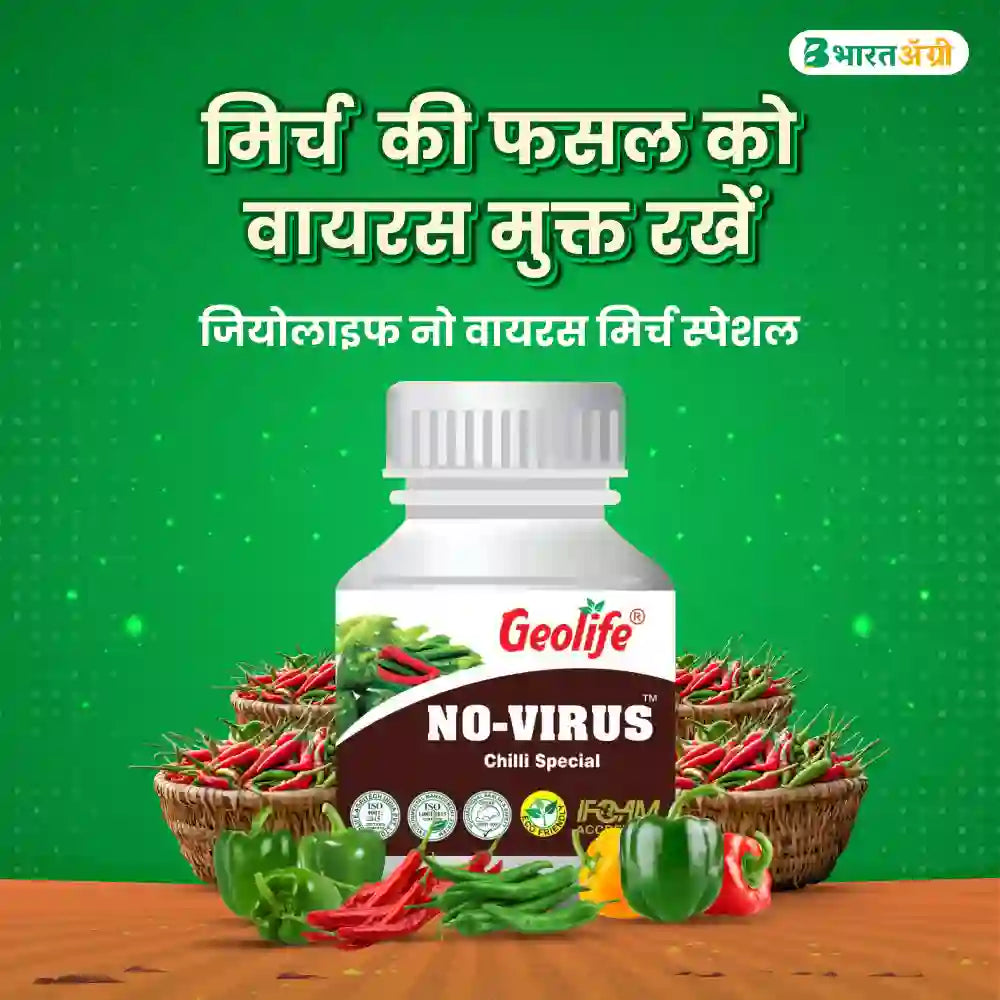 Geolife No Virus Chilli Special (1+1 Free)