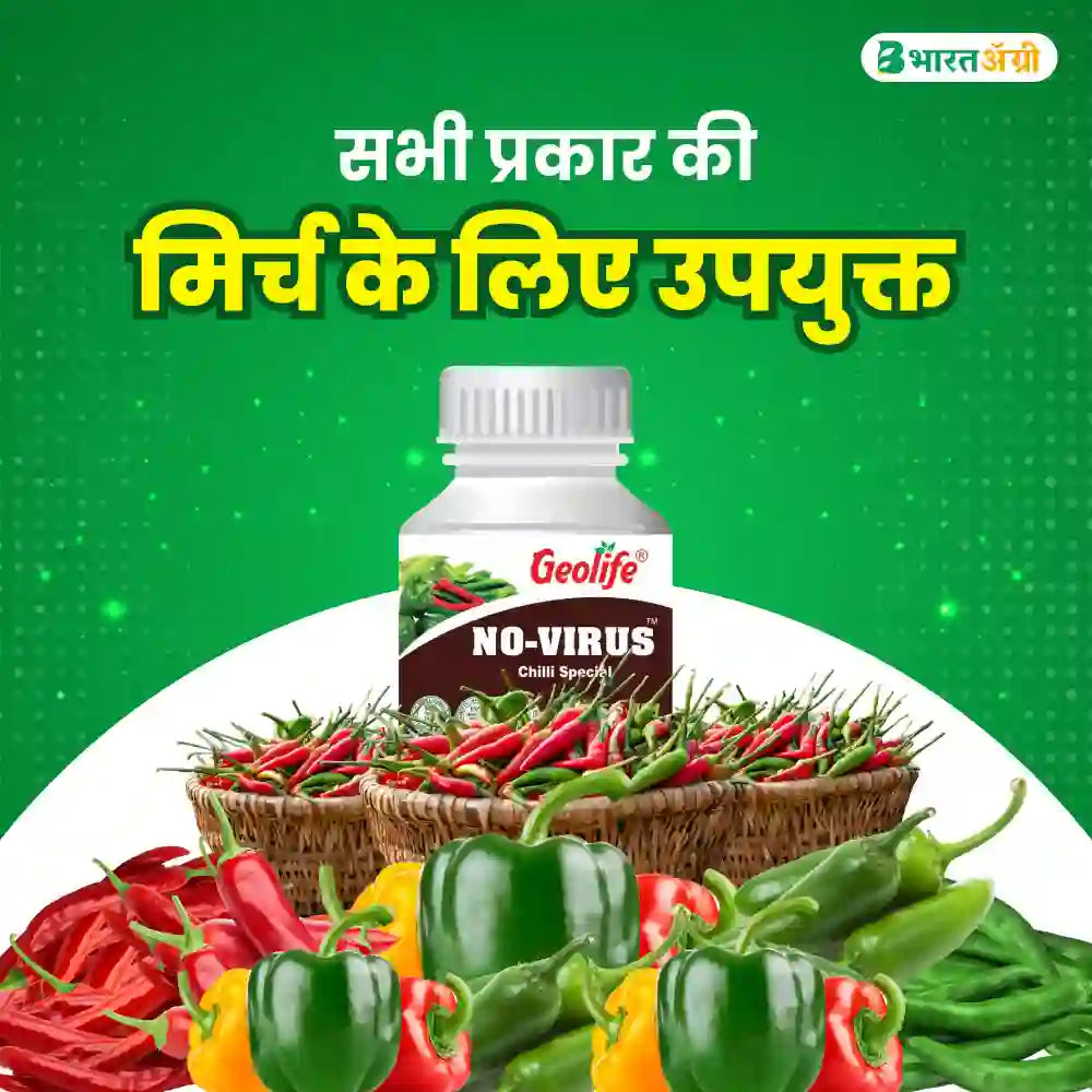 Geolife No Virus Chilli Special (1+1 Free)