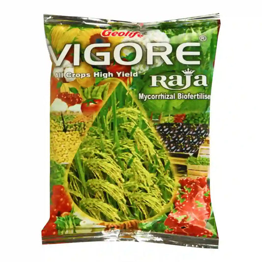 Geolife Vigore Raja Mycorrhizal Bio Fertilizer