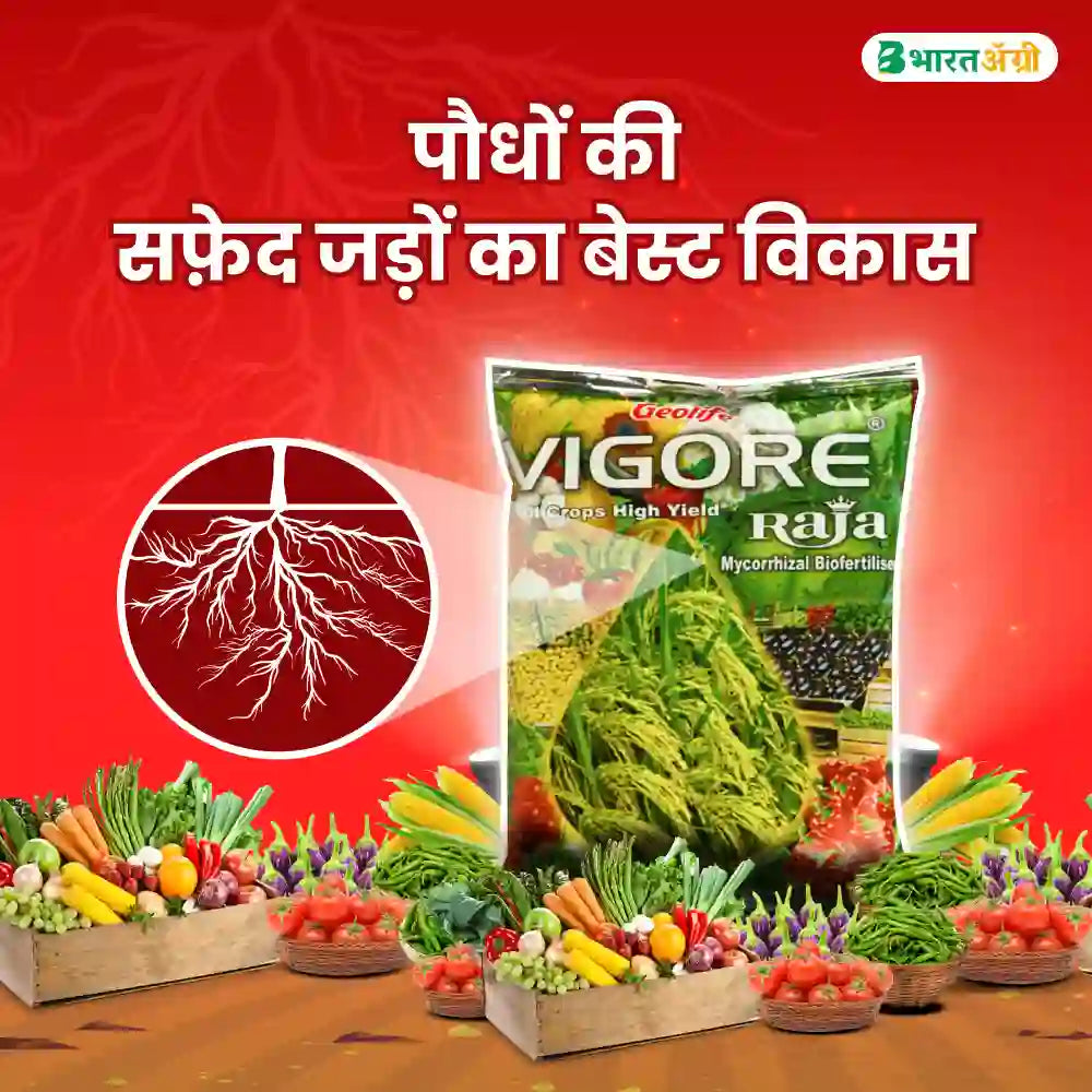 Geolife Vigore Raja Mycorrhizal Bio Fertilizer (1+1 Free)