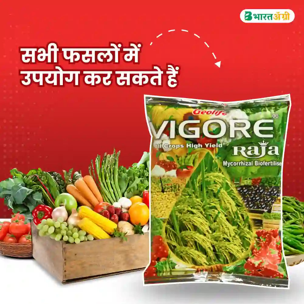 Geolife Vigore Raja Mycorrhizal Bio Fertilizer (1+1 Free)