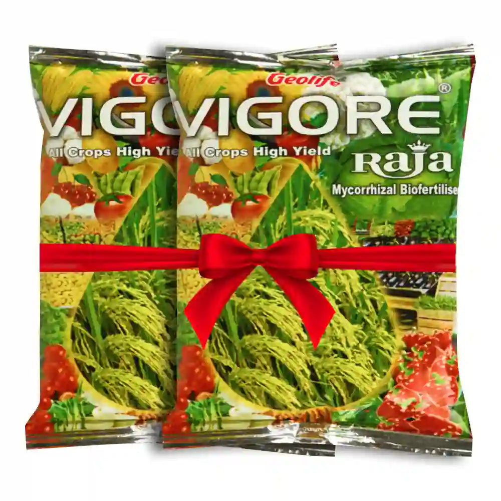 Geolife Vigore Raja Mycorrhizal Bio Fertilizer (1+1 Free)