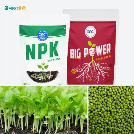 Green Gram Badhat Kit - Growth (2-10 days)