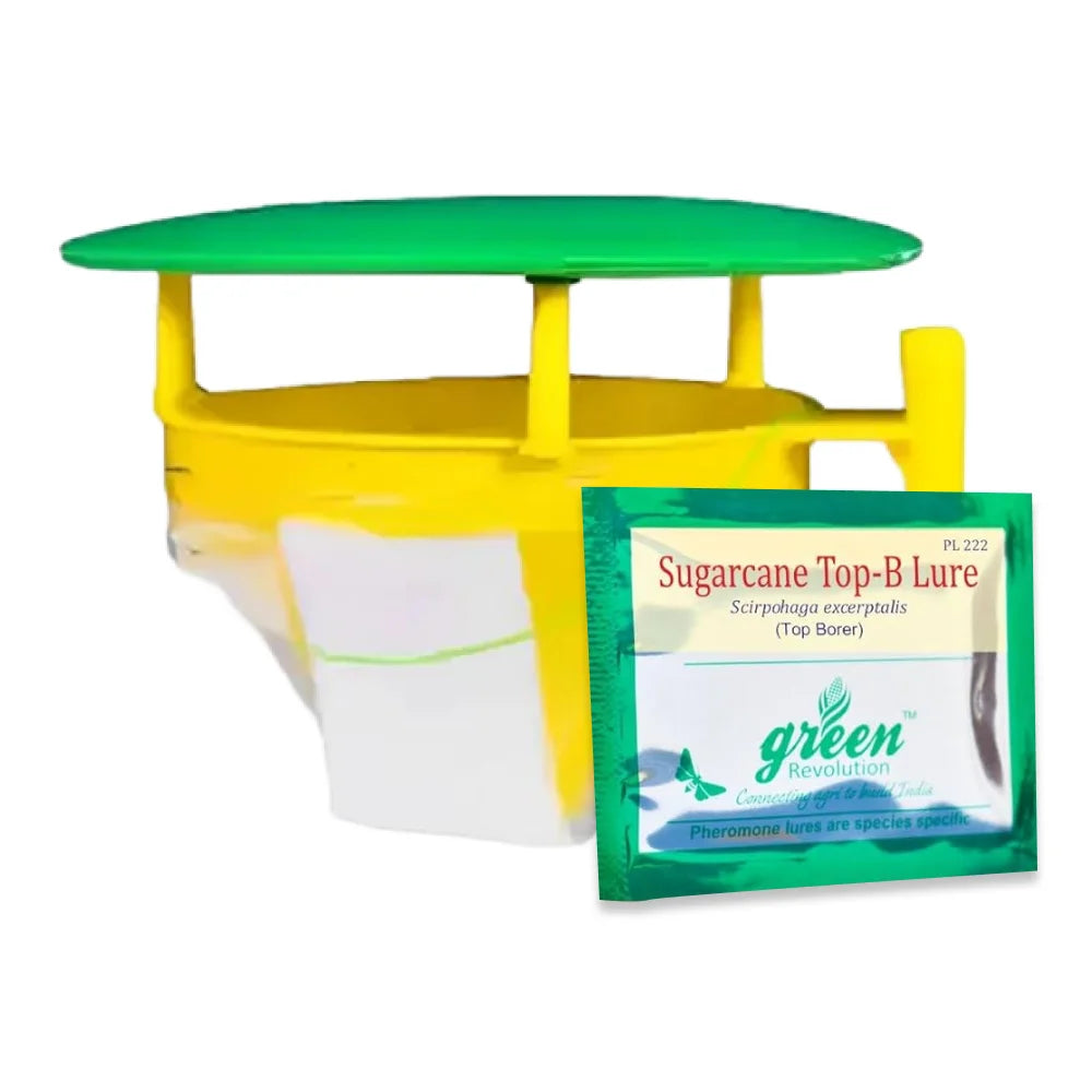 Green Revolution Funnel Trap + Sugarcane ESB Lure