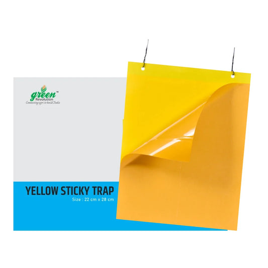 Green Revolution Yellow Sticky Trap (25 nos)