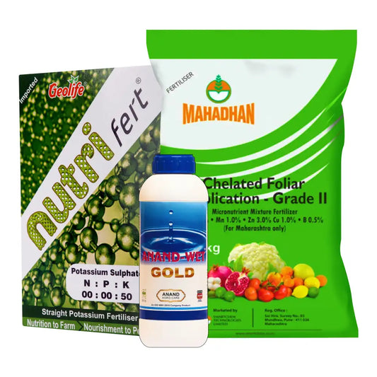 Green Gram Badhat Kit - Weight Gain (50-60 days)