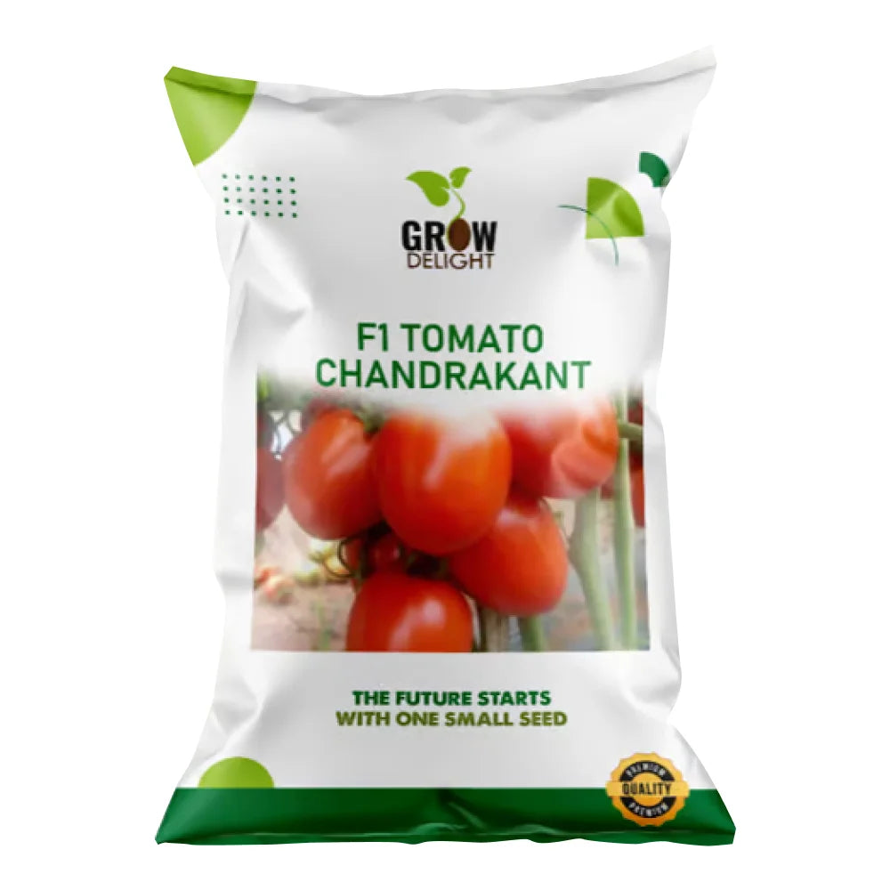 Grow Delight Chandrakant F1 Hybrid Tomato Seeds