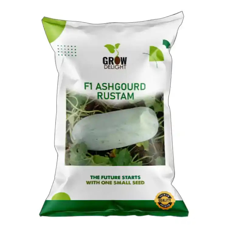 Grow Delight Rustam F1 Ash gourd Seeds