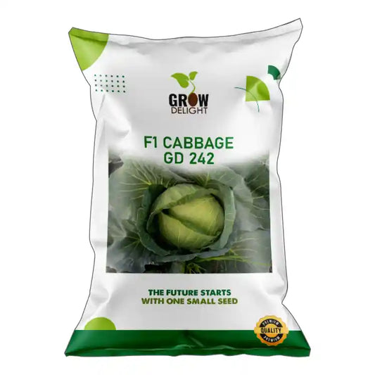 Grow Delight F1 GD 242 Cabbage Seeds