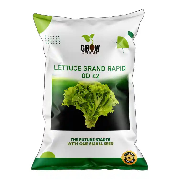 Grow Delight Grand Rapid GD-42 Lettuce Seeds